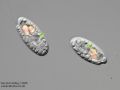 gal chilomonas paramecium